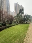城市中绿意盎然的公园一角