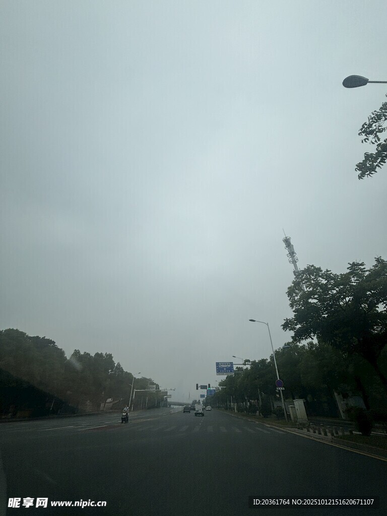 雾中道路景象