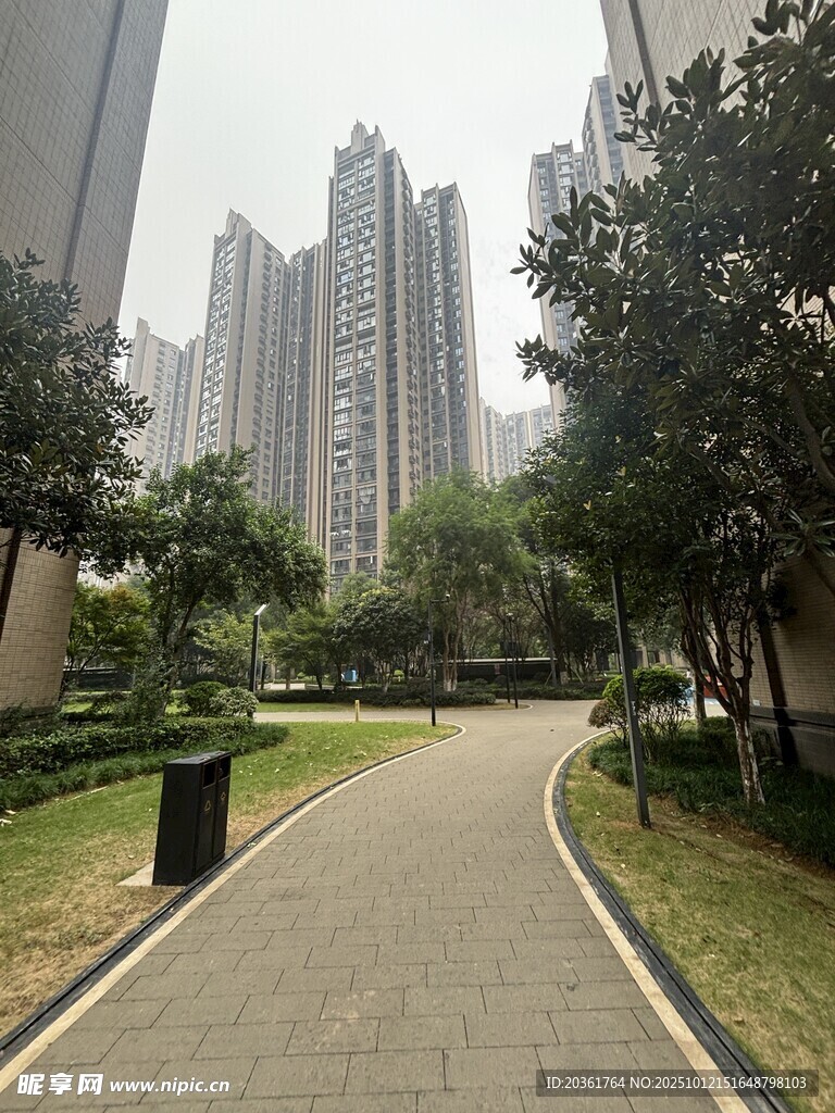 城市小区内的林荫步道