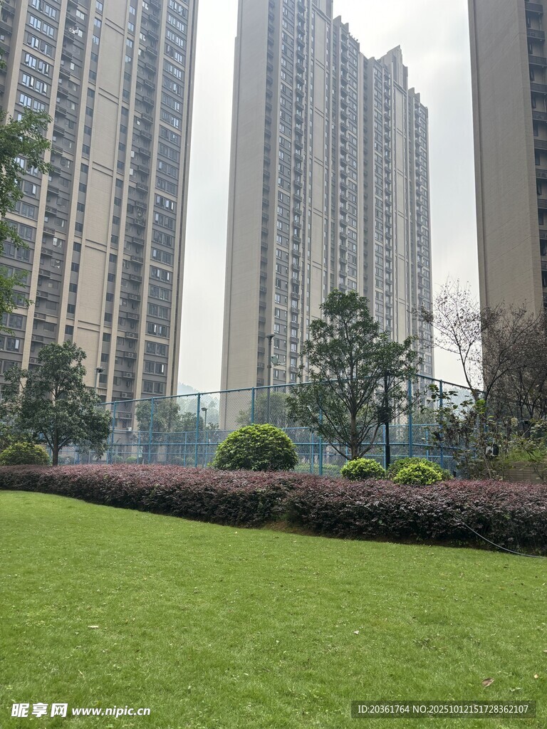 城市草坪与高楼景观