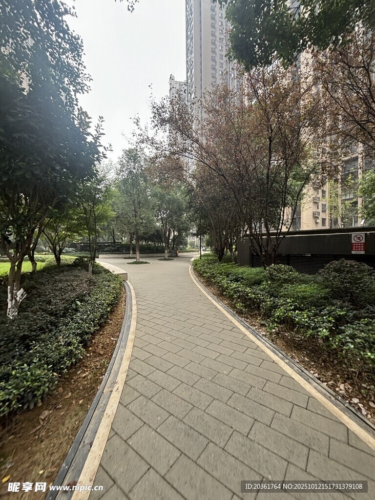 城市中幽静的林荫步道