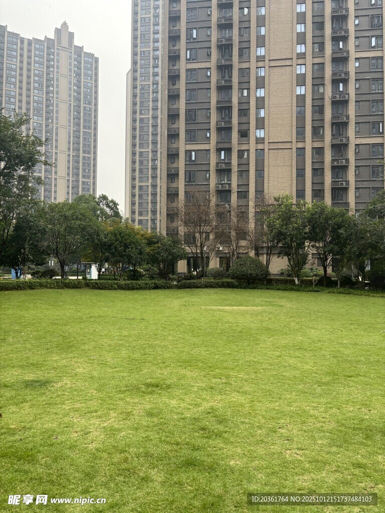 城市中开阔的绿地景观