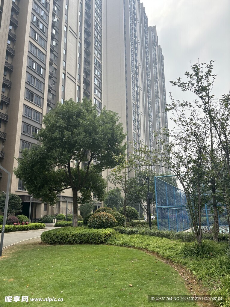 城市住宅区的绿化景观