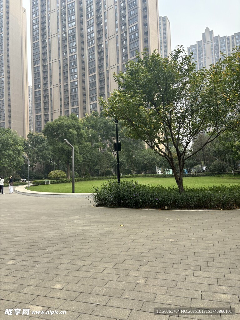 城市中开阔的绿化广场