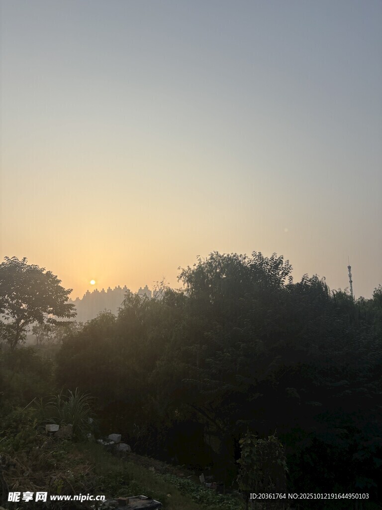 日出时分的山林景色