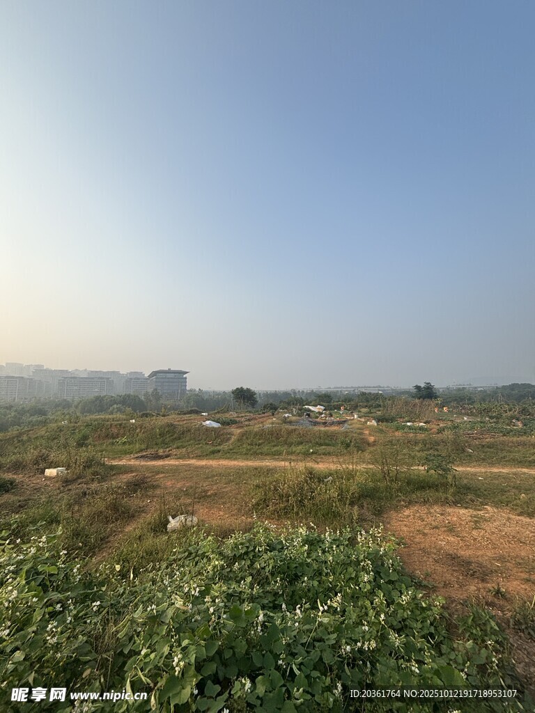 郊外开阔绿地风景