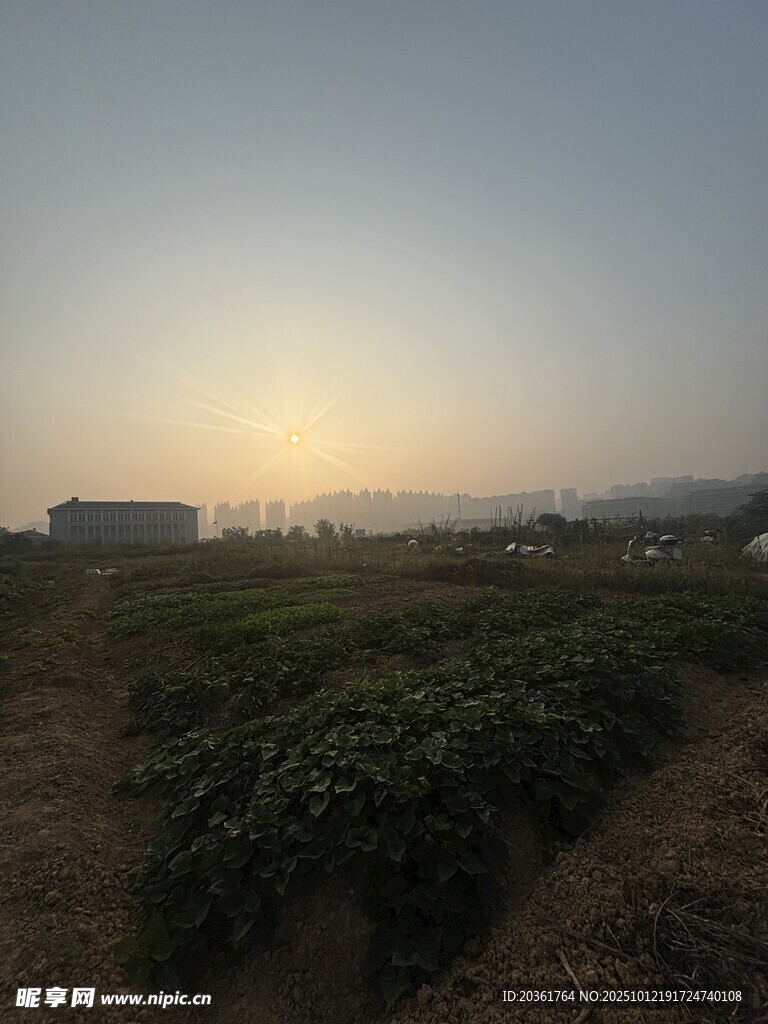 夕阳下的田野风光