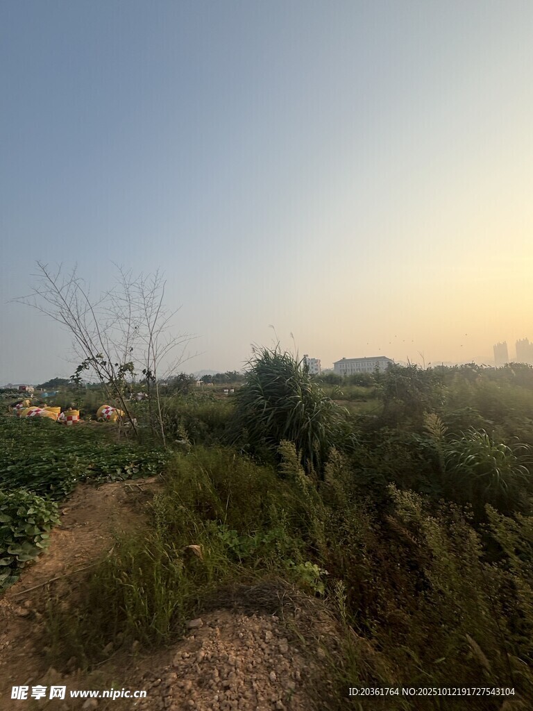 田园黄昏美景