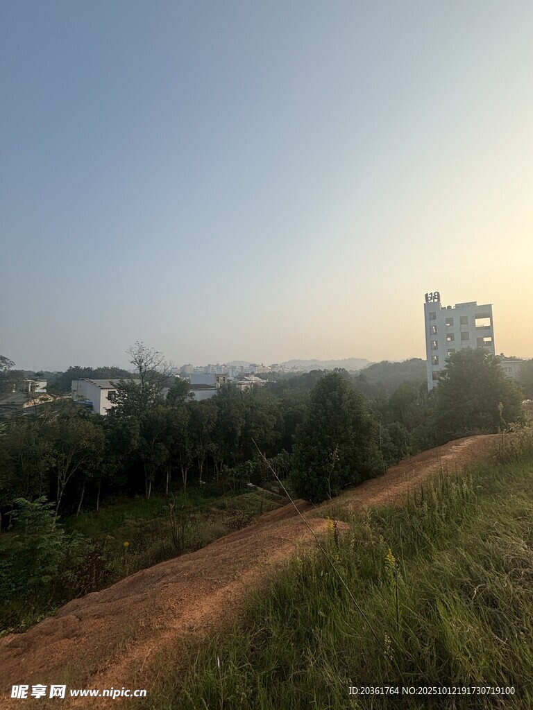 乡村小路旁的晨光景色