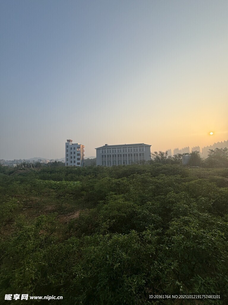日出下的草地与远处建筑
