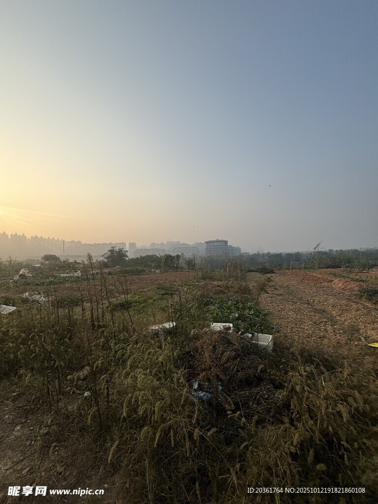 黄昏下的荒野景色