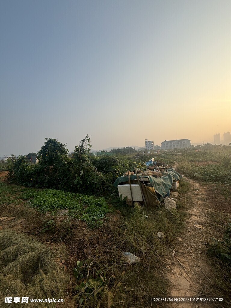 乡村小路