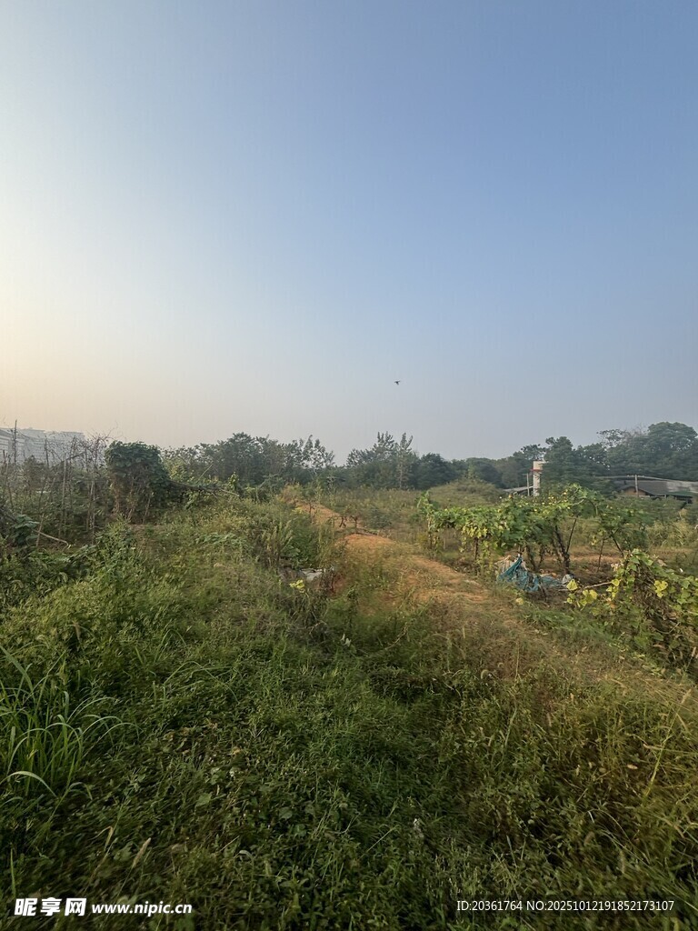 田野间的开阔自然风景