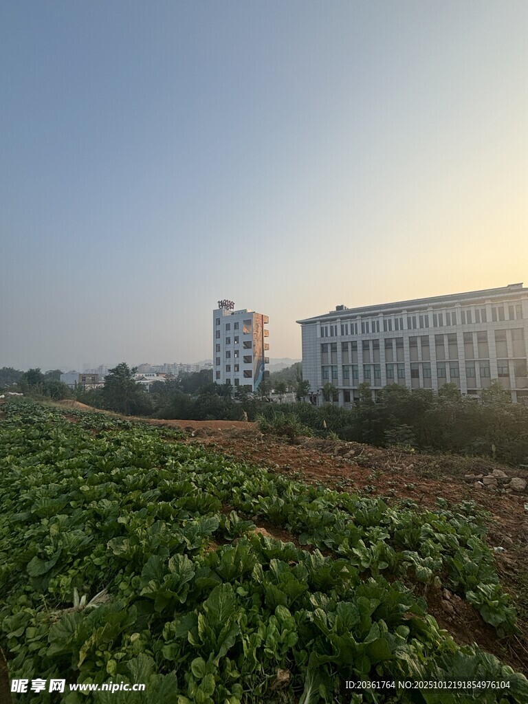 田野旁的现代建筑群