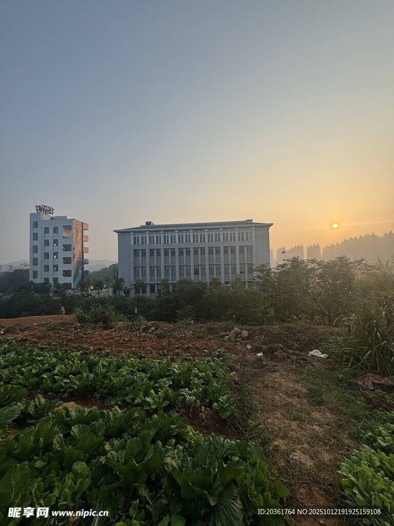 夕阳下的建筑与绿植景观