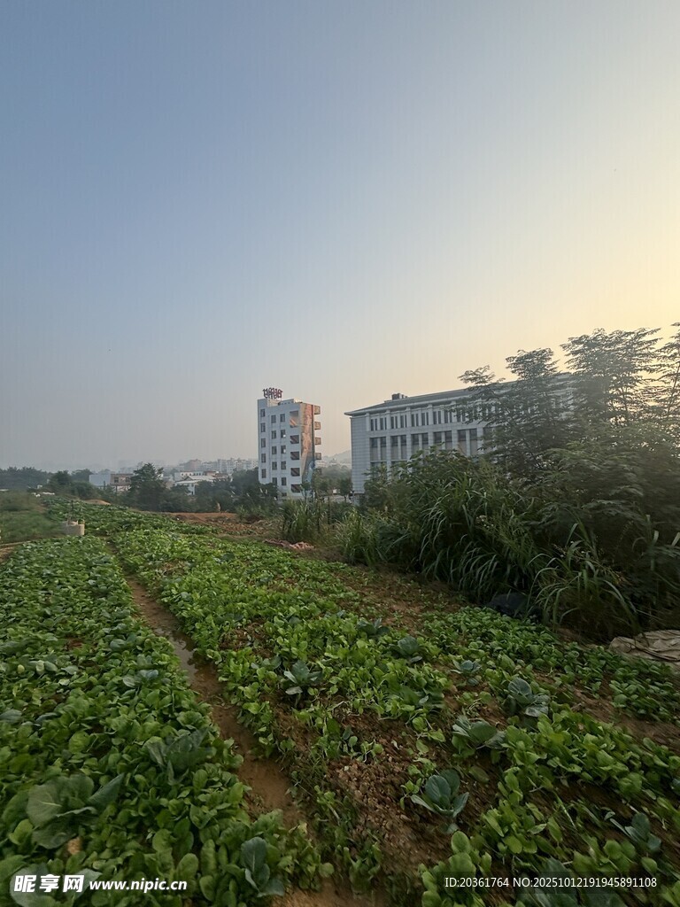 城郊农田与远处建筑景观