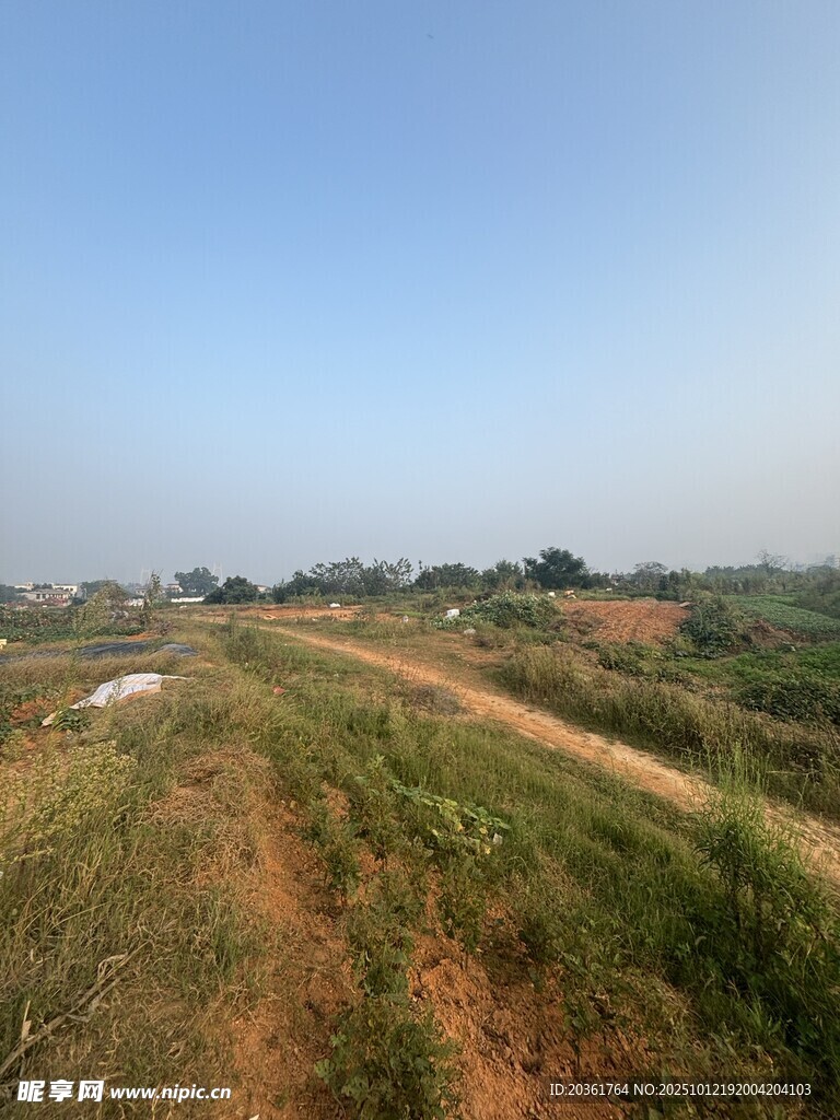 田野间的蜿蜒小路
