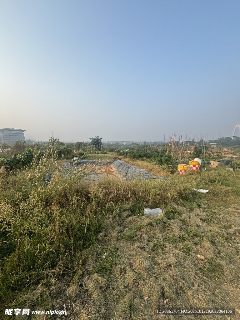 荒地景象