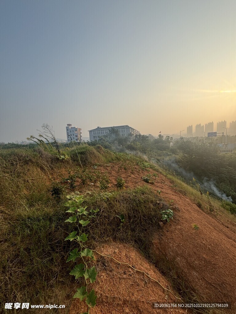 城郊黄昏时的土路与植被