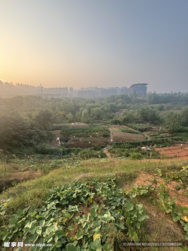 田园风光晨景