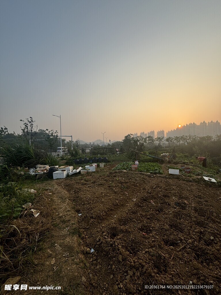 田园日出风光