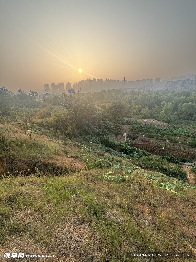 日出时分的乡村田野景色