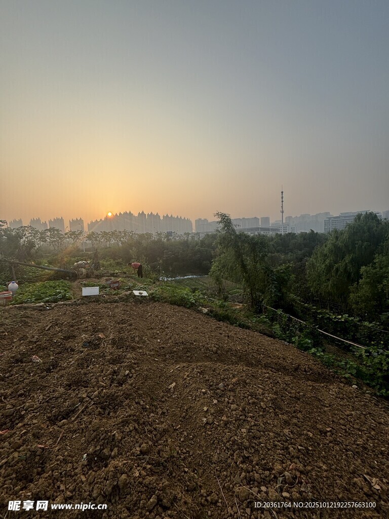 田园日出景色