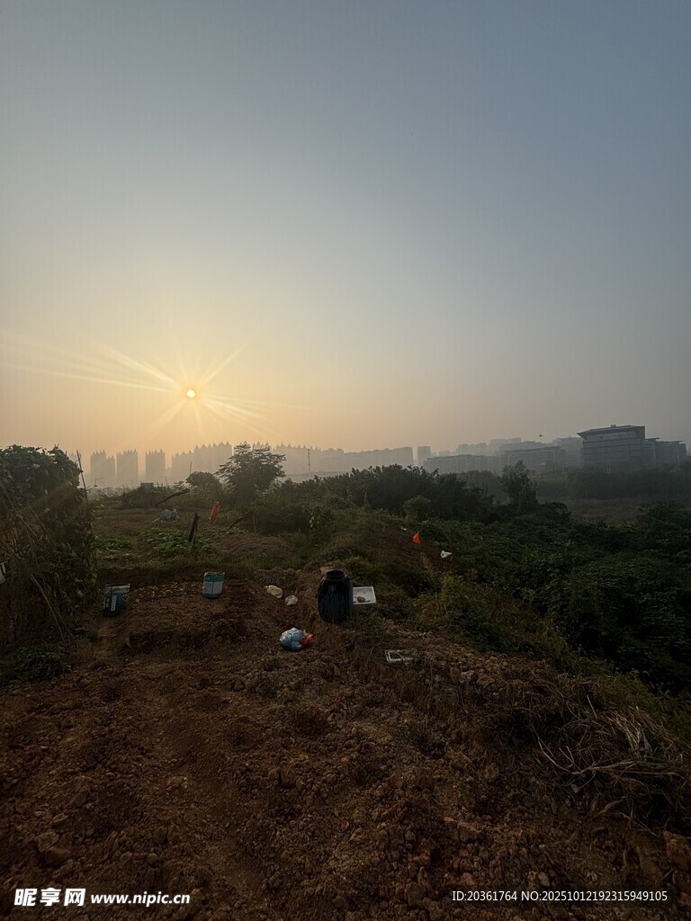 黄昏下的自然田野景象