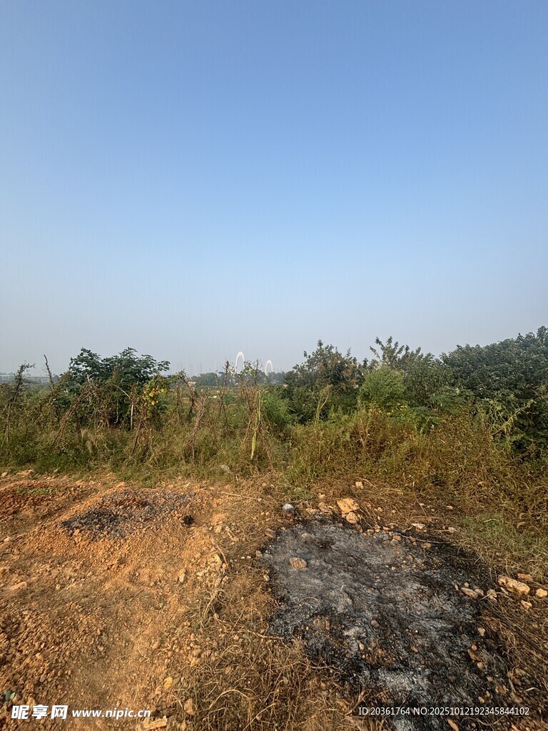 野外荒地烧焦区域景象