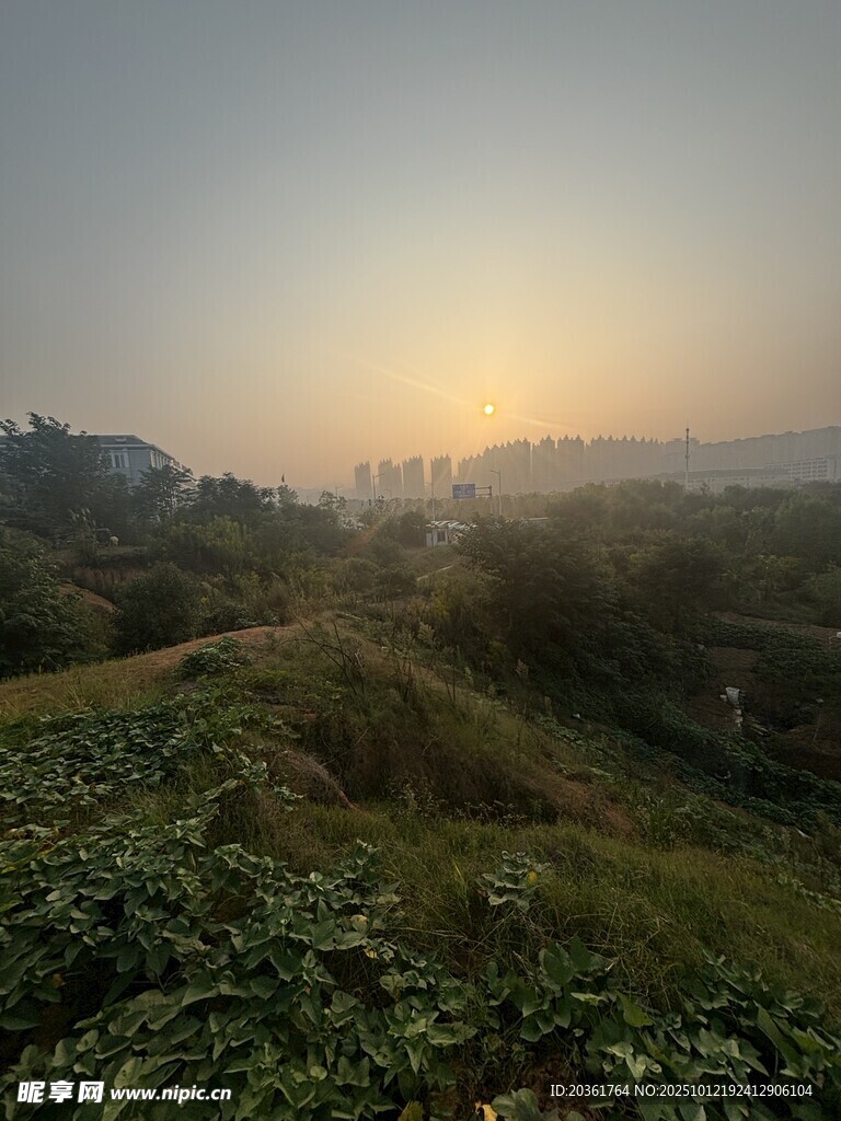 日出时分的田园风光