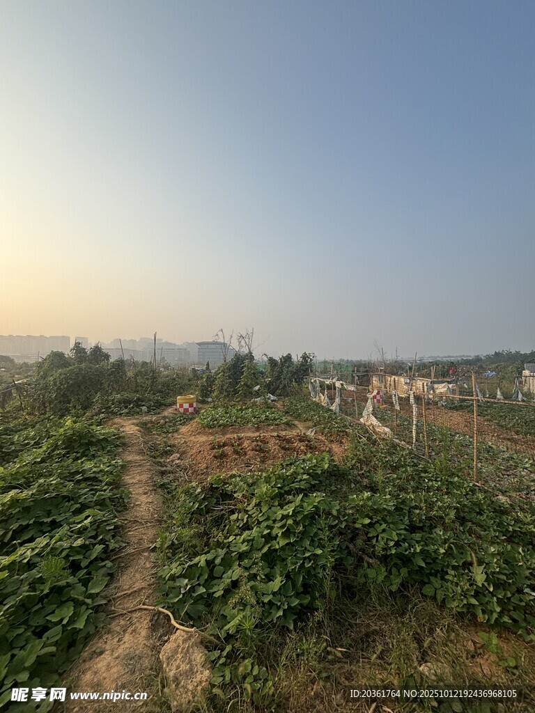田园风光中的乡间小路
