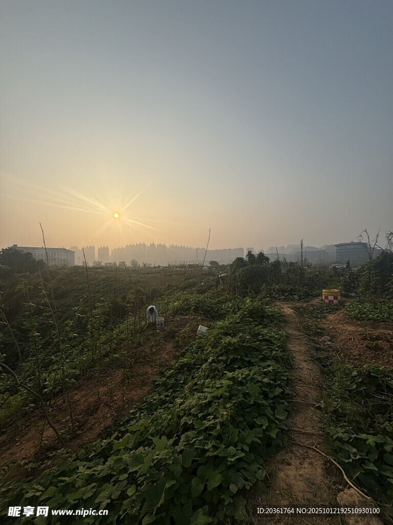 田园黄昏美景
