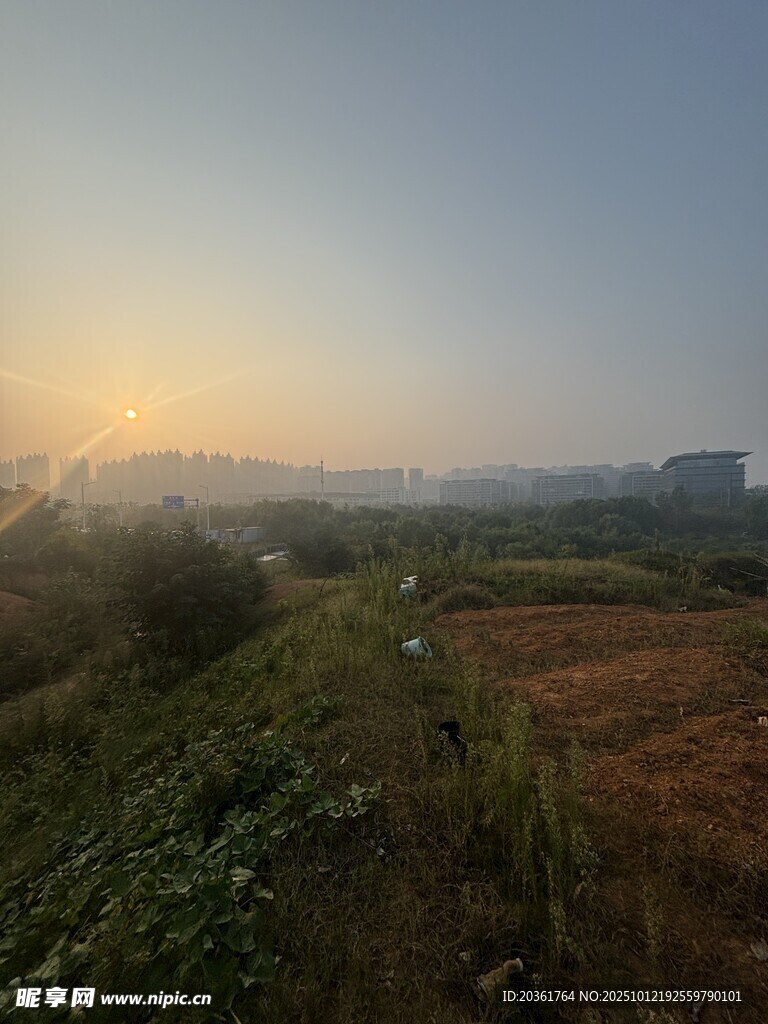 日出时分的郊野风光