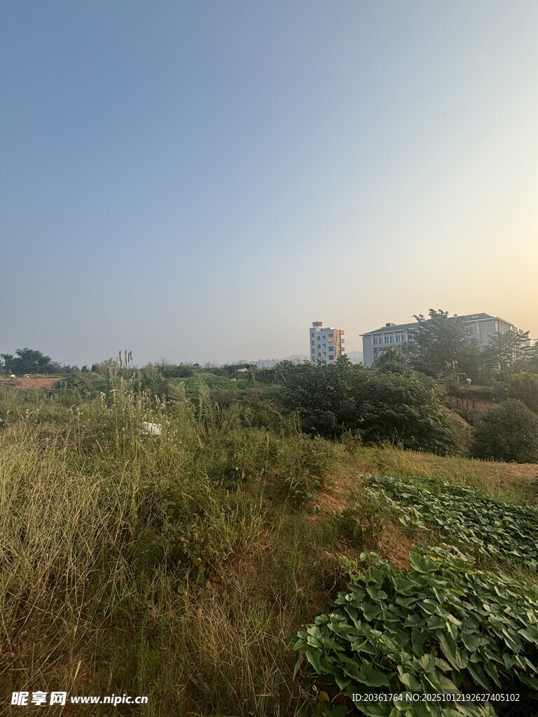 田野风光