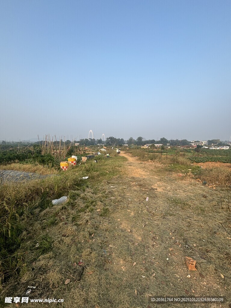 乡间土路风景