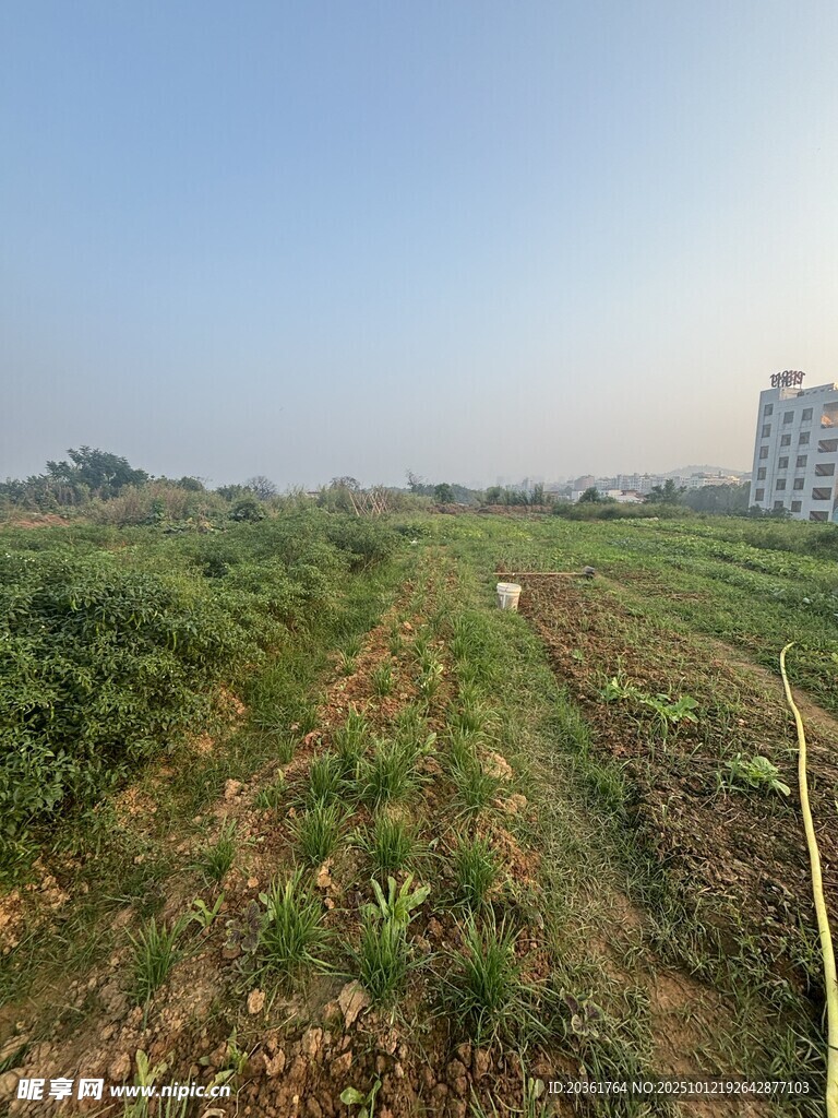 城郊荒地景象