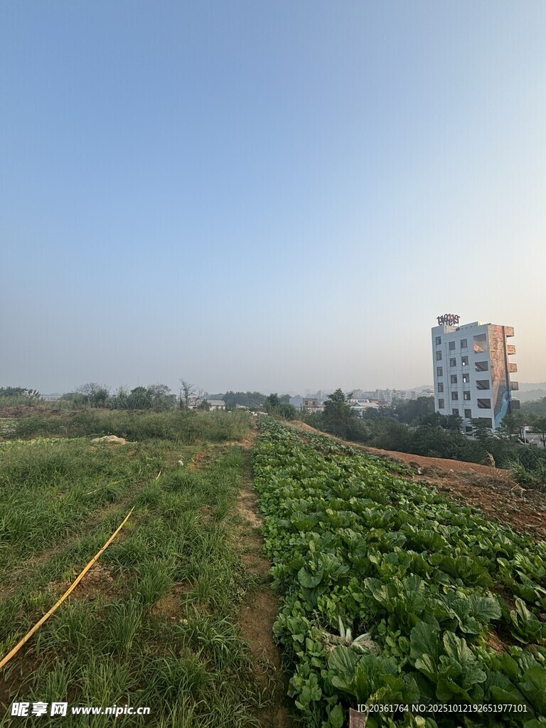 城郊农田与远处高楼景观