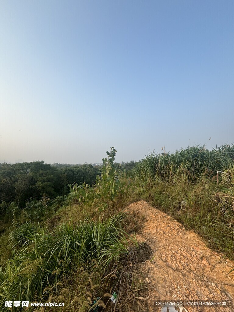 乡间土路