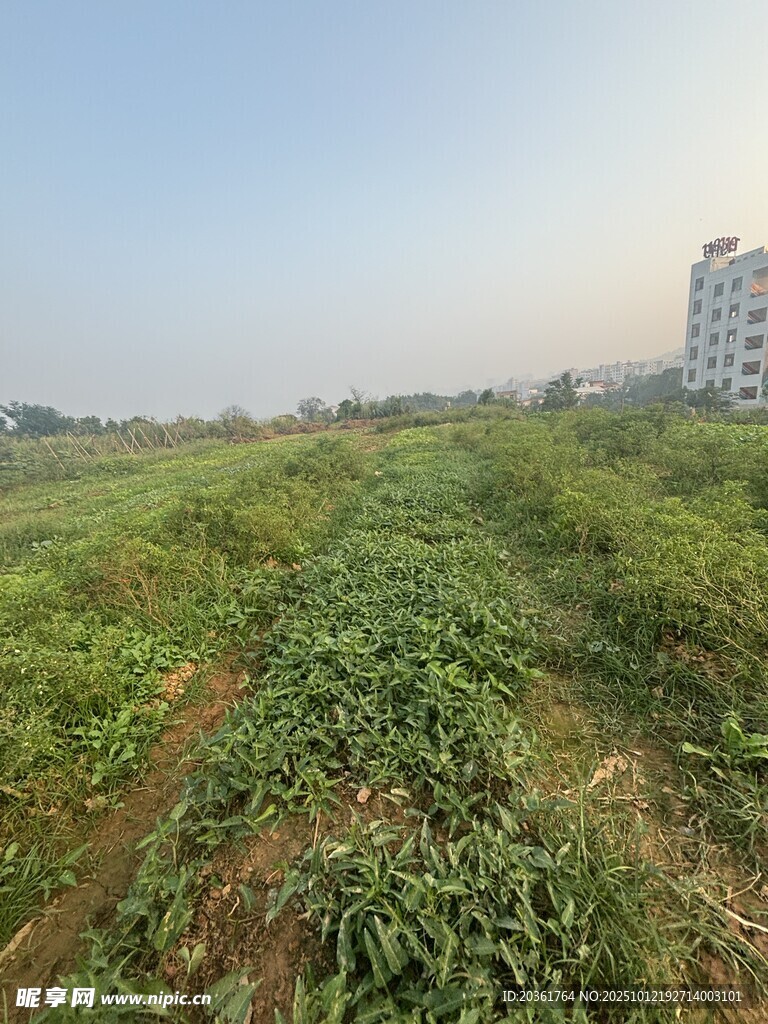 城郊荒地景观