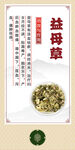 中药材 益母草展示图