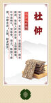 中药材 杜仲展示