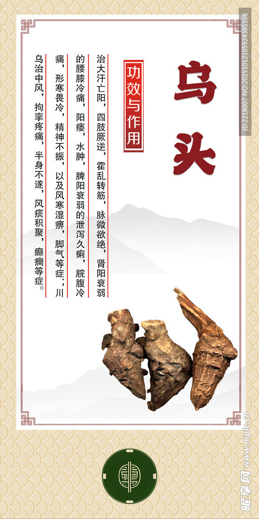 中药材  乌头展示图
