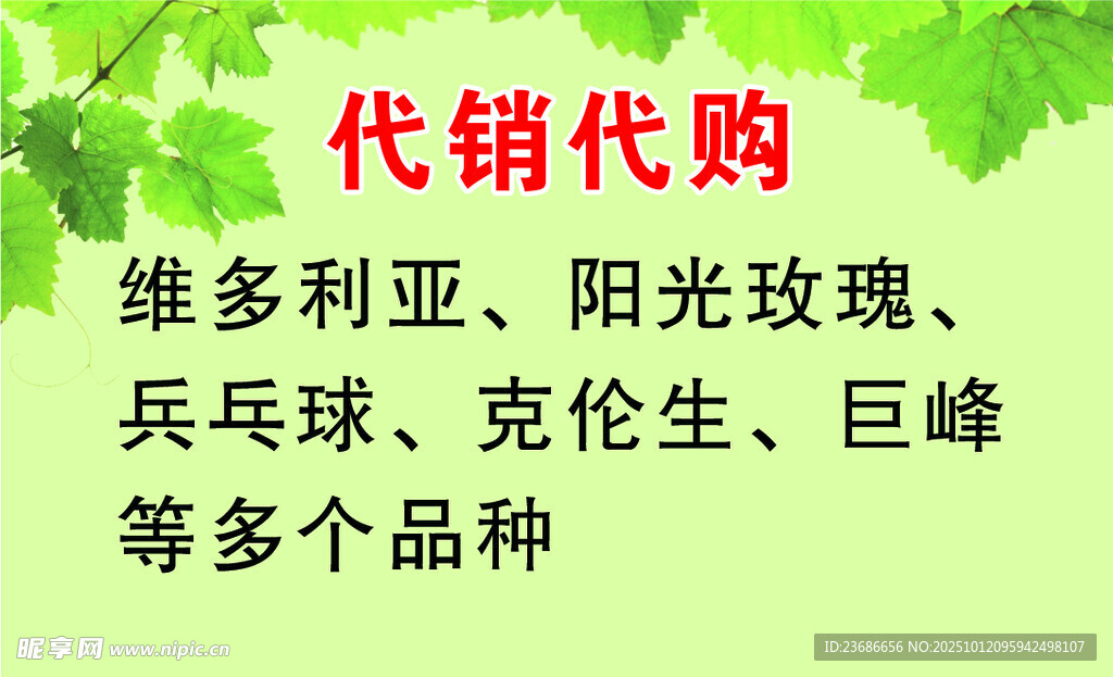 葡萄名片购销处