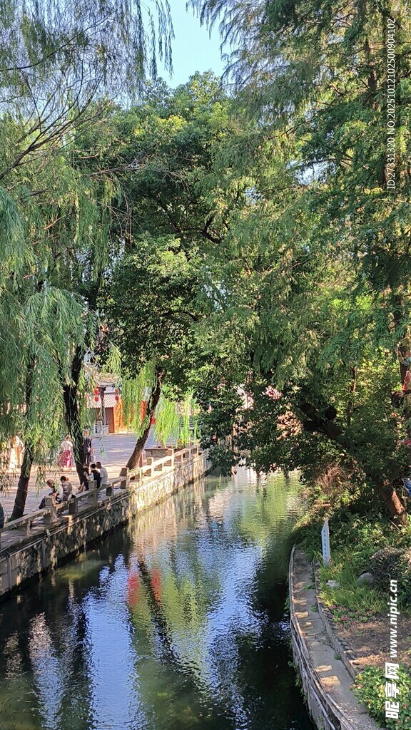 河畔绿荫下的静谧景致
