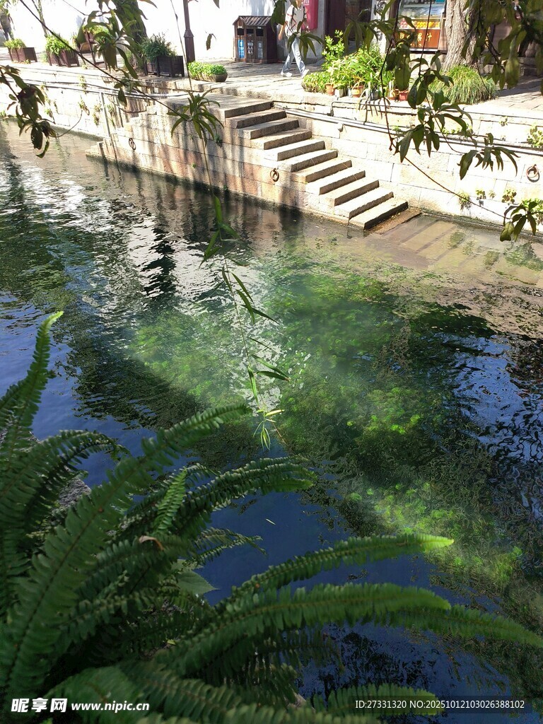 清澈水道旁的绿植与台阶
