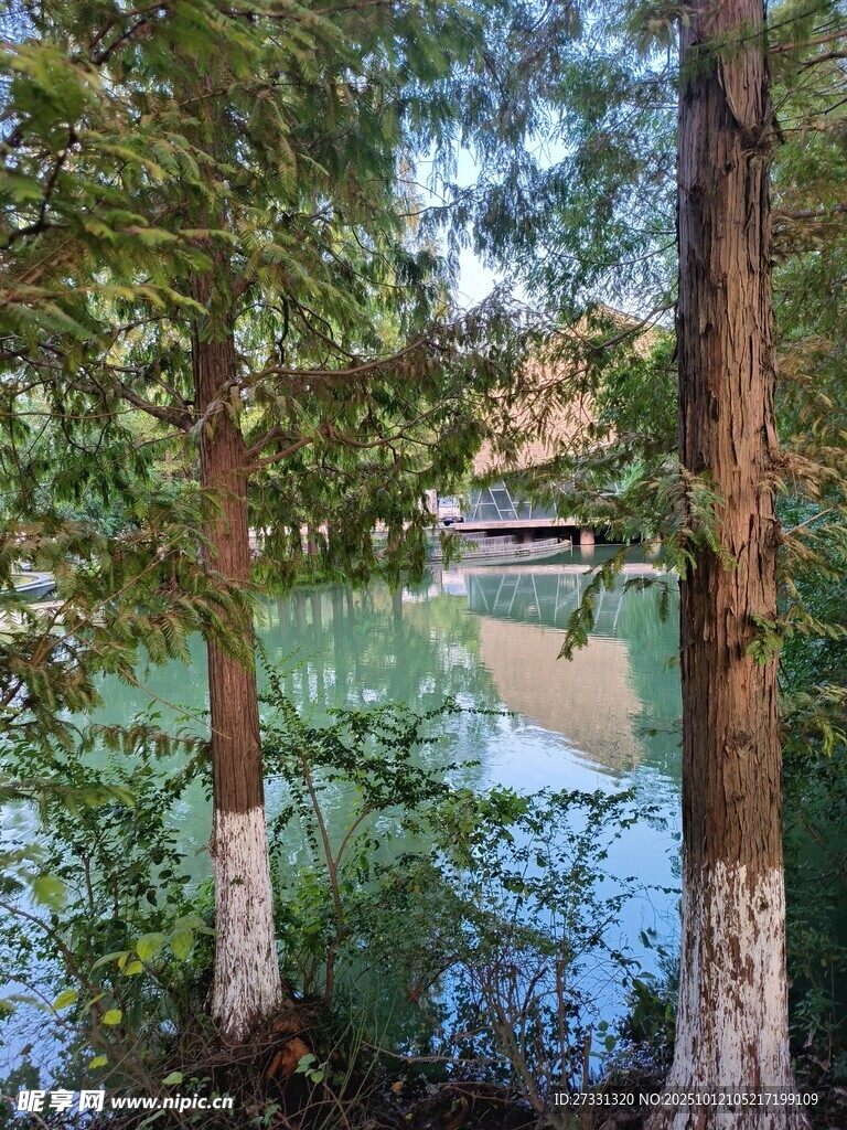 林间湖畔美景