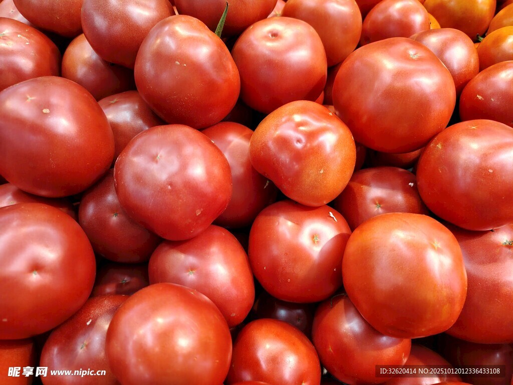 番茄