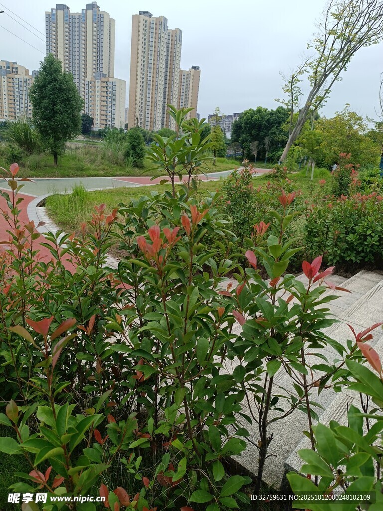 城市中的绿植景观