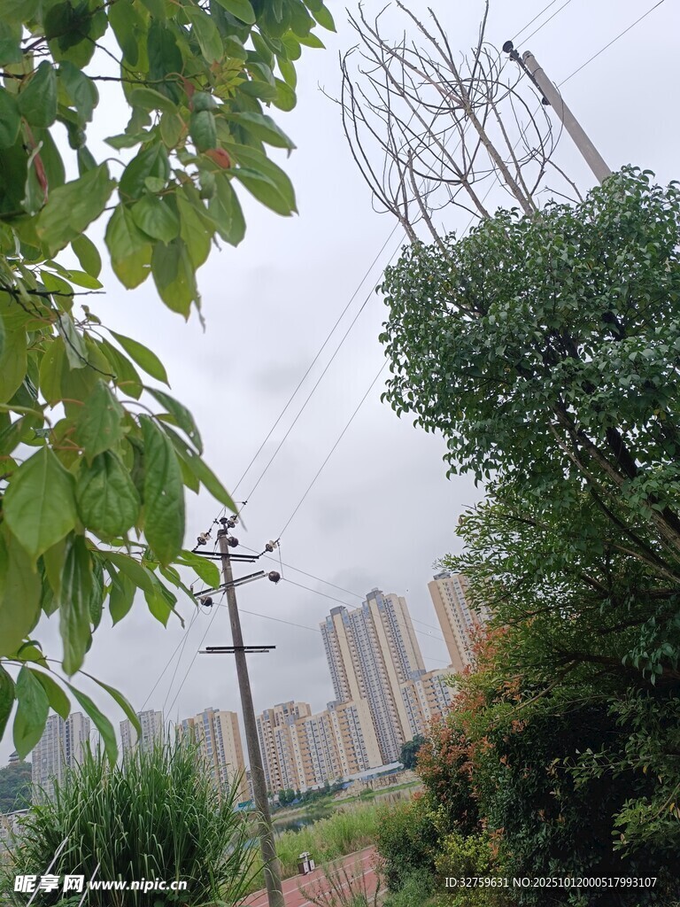 城市旁绿树环绕的电力设施