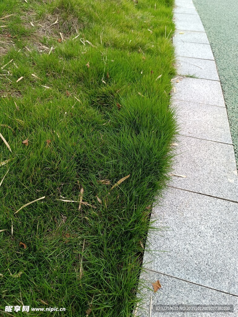 路边翠绿草坪与石板路